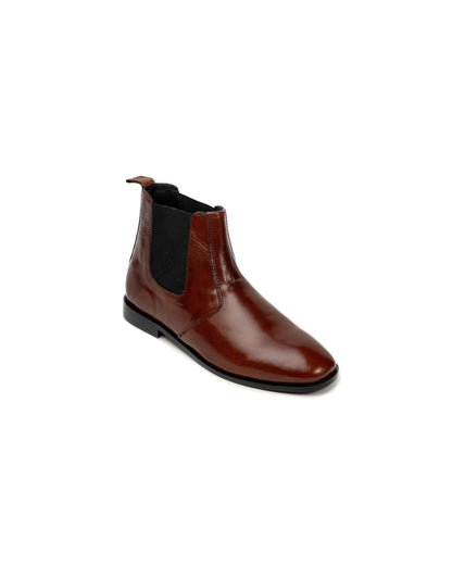 Chelsea Glossy Brown